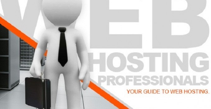 provide Reliable Web hosting and Free WP installation