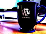 I will solve your WordPress problem or error or any other issues