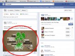 create graphic for your facebook post