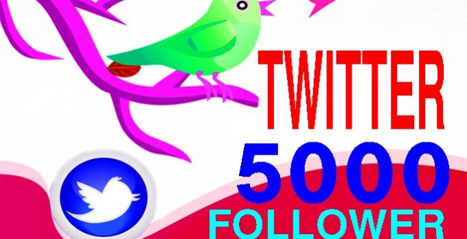 give you 10,000 REAL Twitter Followers