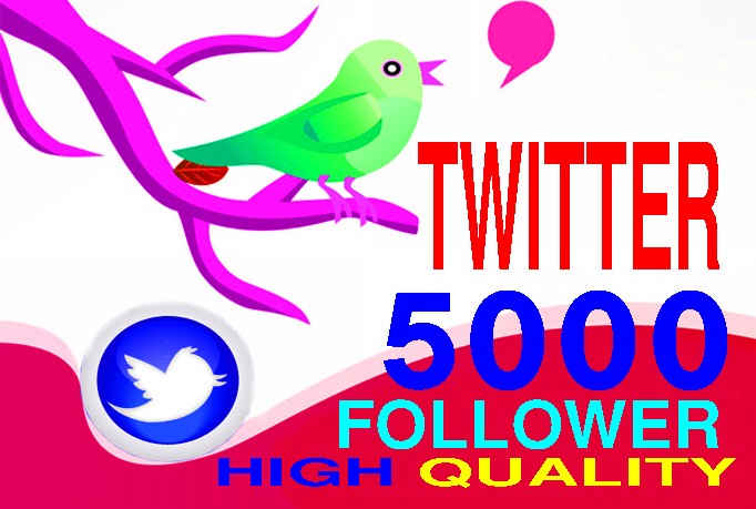 give you 10,000 REAL Twitter Followers