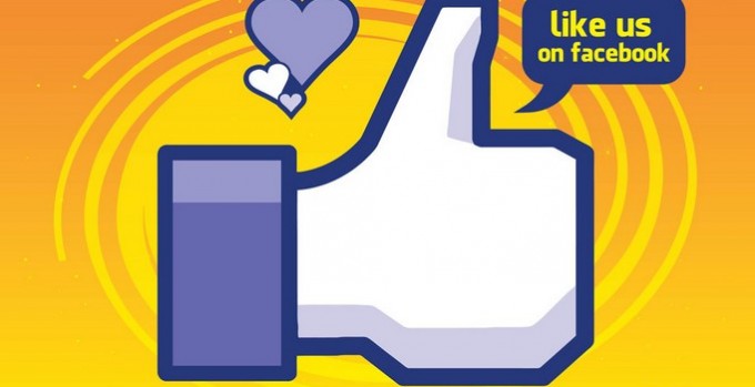 provide 600+ facebook usa likes