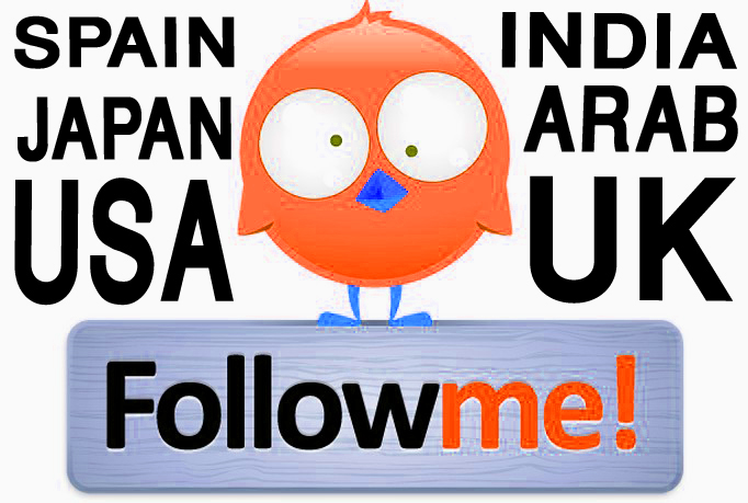 real JAPAN twitter followers 1,000